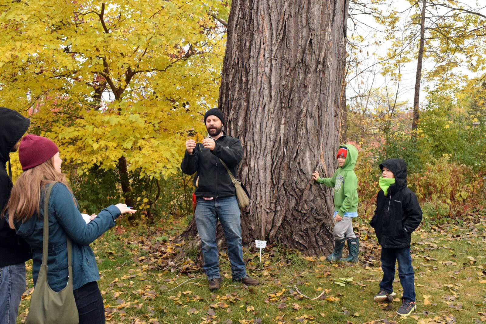Citizen Forestry