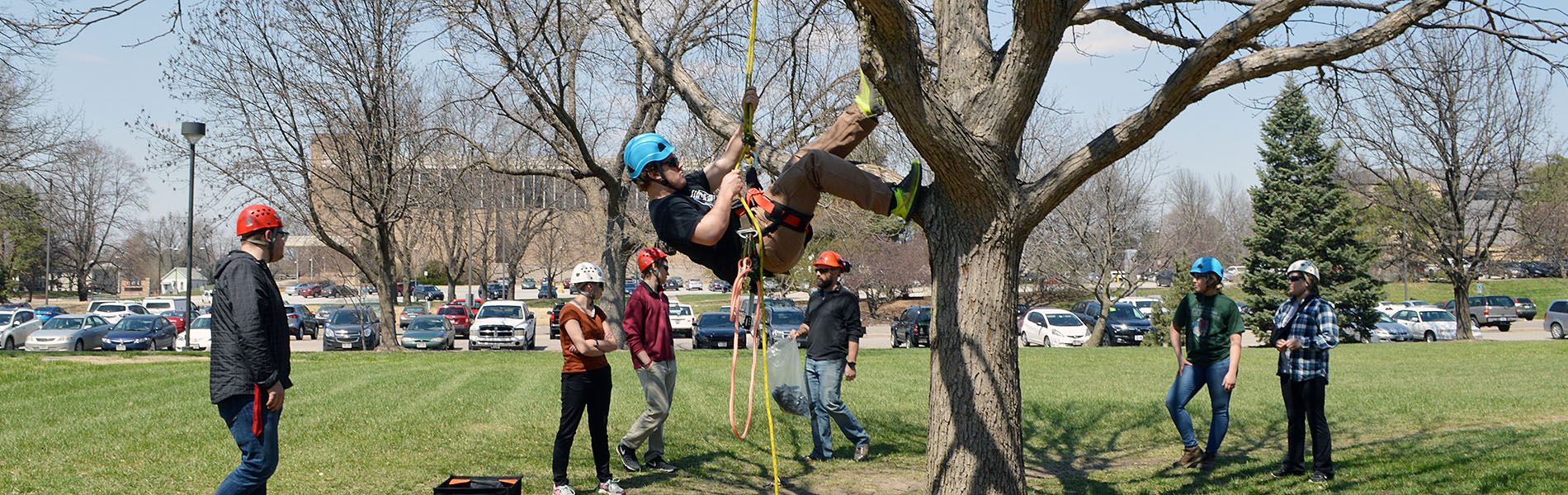 Tree Class