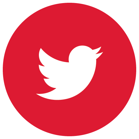 twitter icon